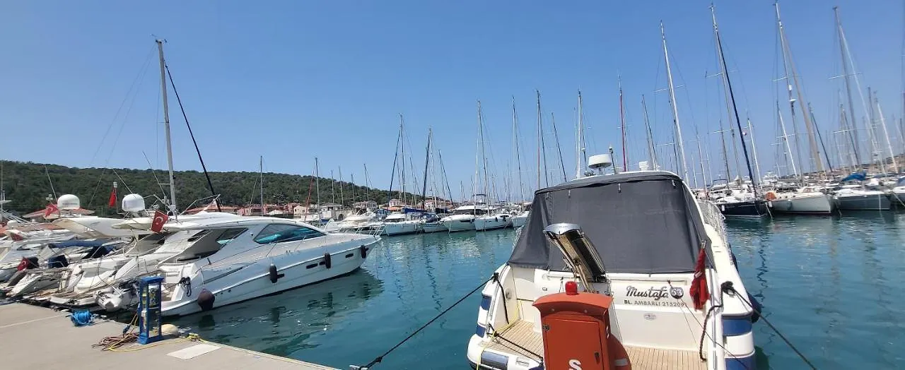 Gazde/Camere de închiriat Picasso Suites Çeşme